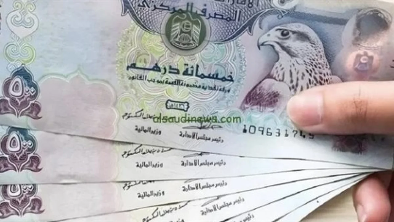 سعر الدرهم الإماراتي.. استقرار ملحوظ أمام الجنيه المصري في تعاملات الإثنين بمصر